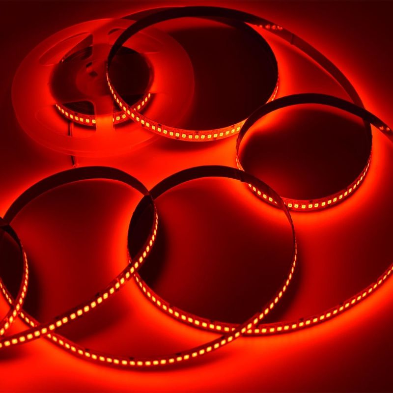 24V Alto brilho 240LEDS SMD 2835 LED Strip Light 1200LEDs 16,4Ft Cores sem resistência à água Vermelho Verde Azul Laranja Para KTV