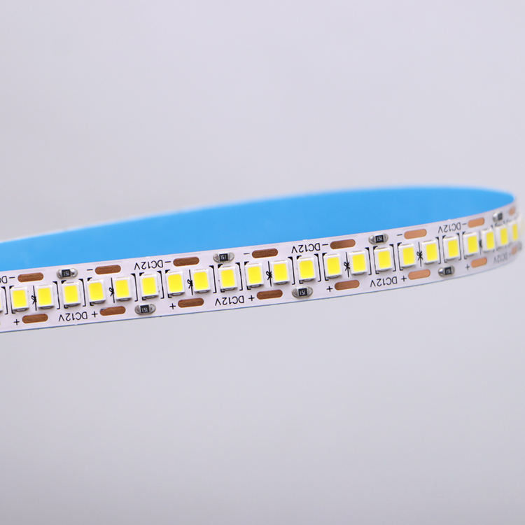 DC12V/24V 10mm 5M/Roll 2835 80Ra LED Strip com PCB branco e ângulo de feixe de 120°
