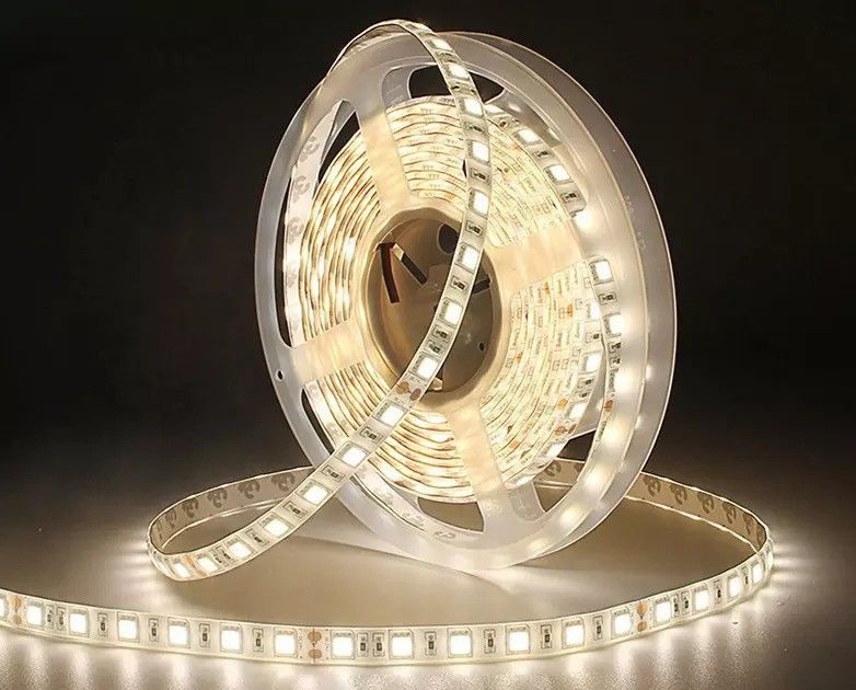 12w 12v 24v 10mm 60 LEDs Rgb 5050 Smd Flexível LED Strip Light com e Multicolor
