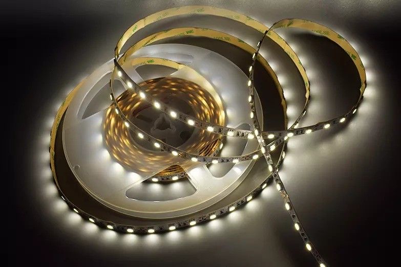 12w 12v 24v 10mm 60 LEDs Rgb 5050 Smd Flexível LED Strip Light com e Multicolor