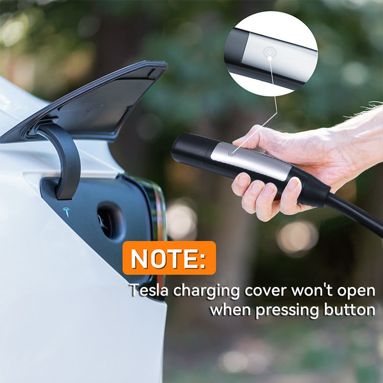 Indicador LCD Luminoso Carregador Rápido EV para Veículos Energéticos de Nível 2 TSL no Tipo de Caixa